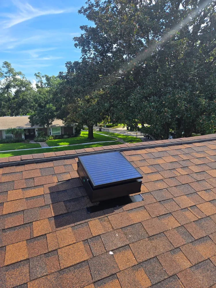 Solar attic fan installed on a brown shingle roof shaded by a magnolia tree